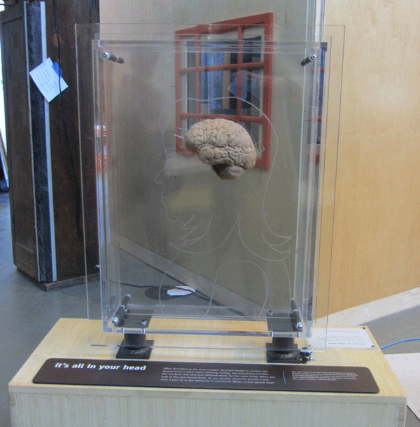 The Brain Exhibit is located in the Exploratoriums West Gallery, which features exhibits focused on art, science, and human perception. Photo courtesy of SF Exploratorium/used with permission.