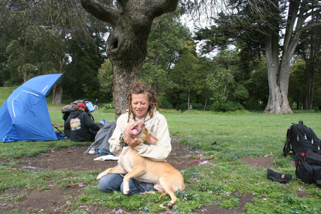 Controversy erupts over police shooting of pit bull in San Franciscos Golden Gate Park