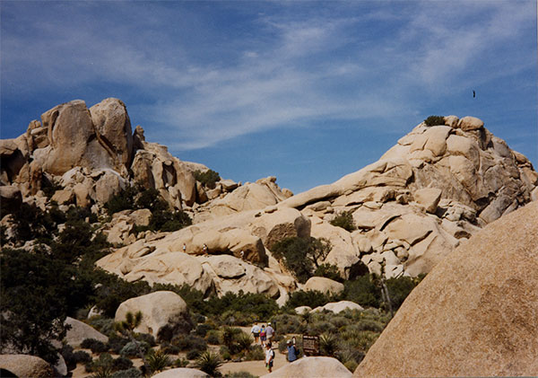 Annual junior trip to Joshua Tree coming to an end