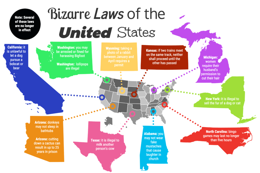 Infographic+showing+some+of+the+strange+state+laws+in+the+US%2C+made+by+Kian+Nassre%2C+Head+of+Infographics.%0A