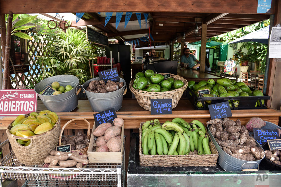 This Sept. 23, 2016 photo shows a produce stand inside El Departamento de la Comida farmers market and organic restaurant that sells locally grown produce in San Juan, Puerto Rico. The most recent statistics from the governors office show farm income grew 25 percent to more than $900 million from 2012-2014 while the amount of acreage under cultivation rose 50 percent over the past four years, generating at least 7,000 jobs. (AP Photo/Carlos Giusti)