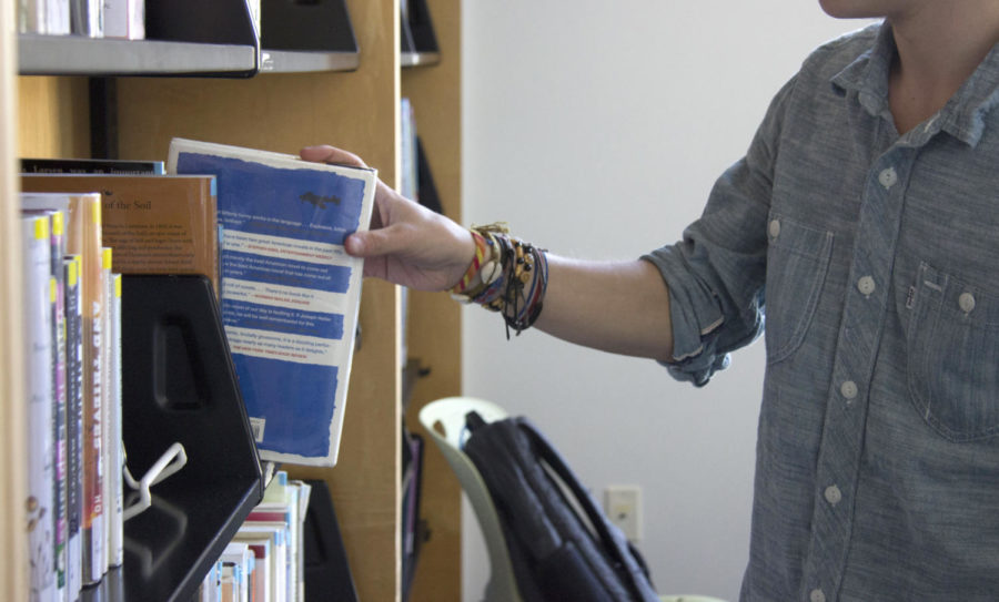 Unknown individual placing book back on shelf of Alexandria library. By Phoebe Grandi, Visuals Editor