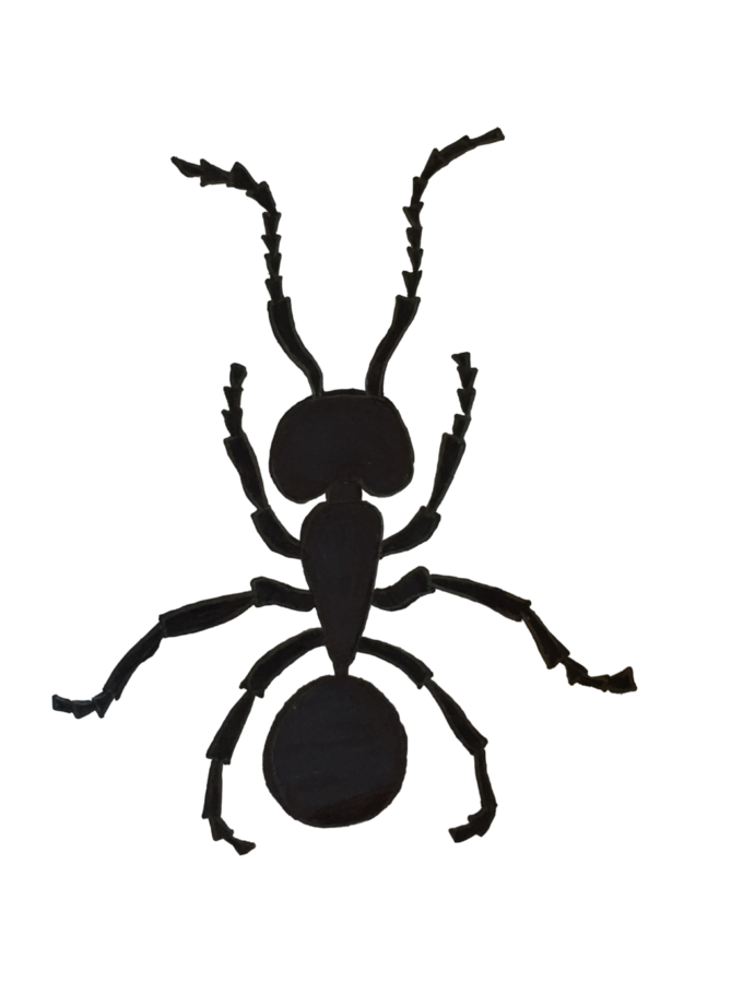 Illustration of an argentine ant by Tikloh Bruno-Basaing, Sports Editor.