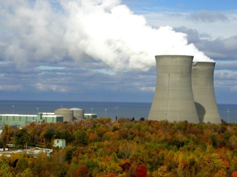 Nuclear power is here to stay